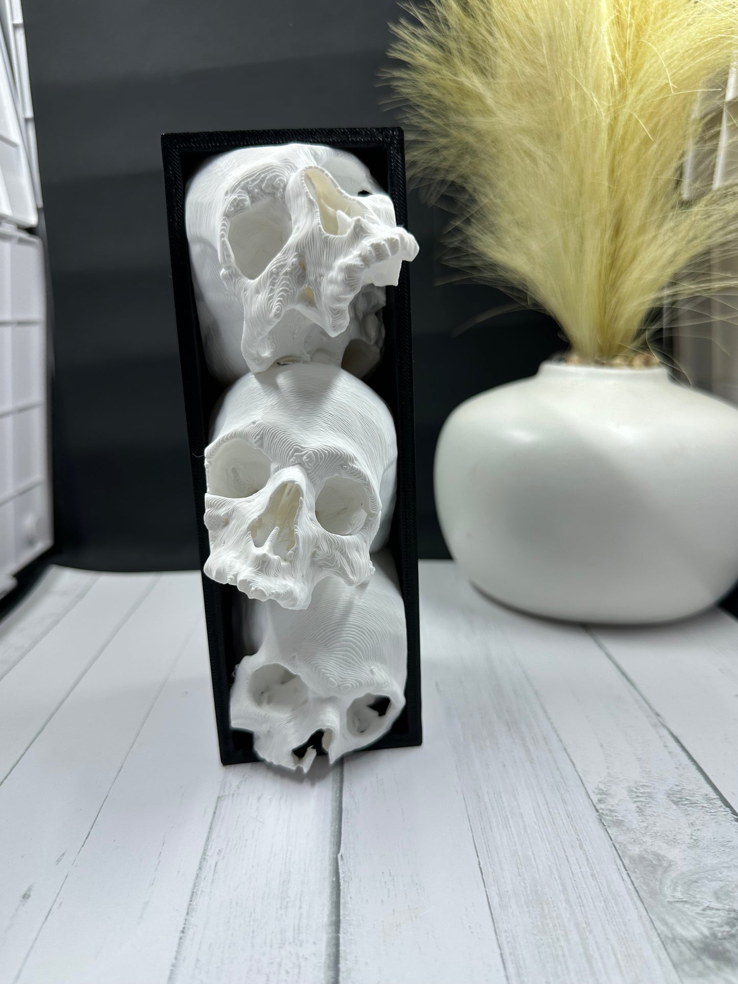 Three Skull Book Nook 3D Print - Random Color -Mc