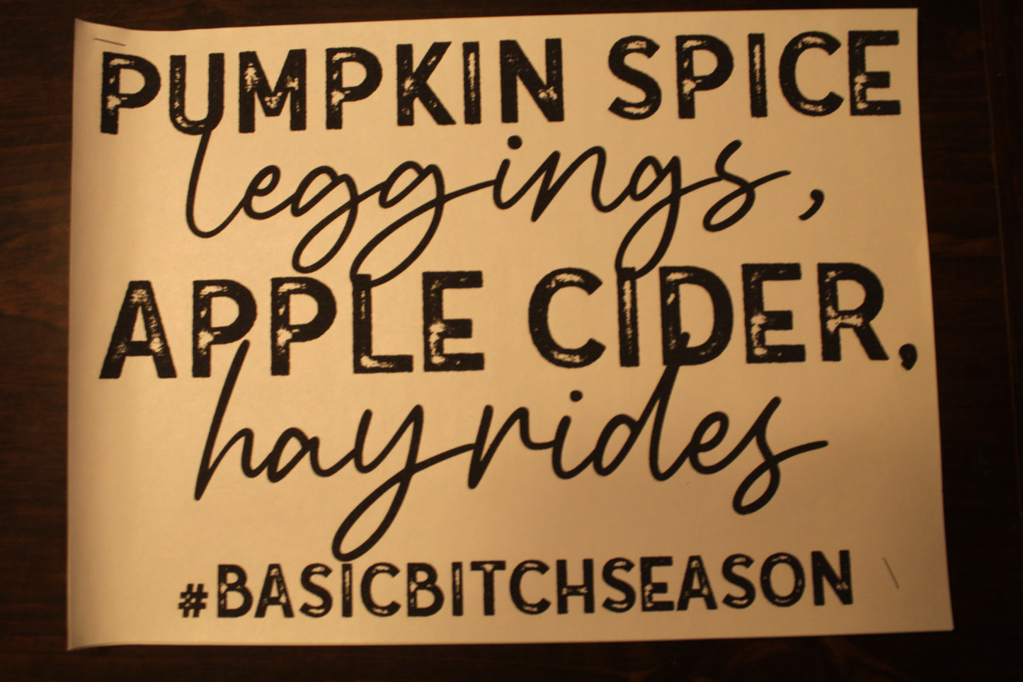 Basic Bitch Adult T-Shirt