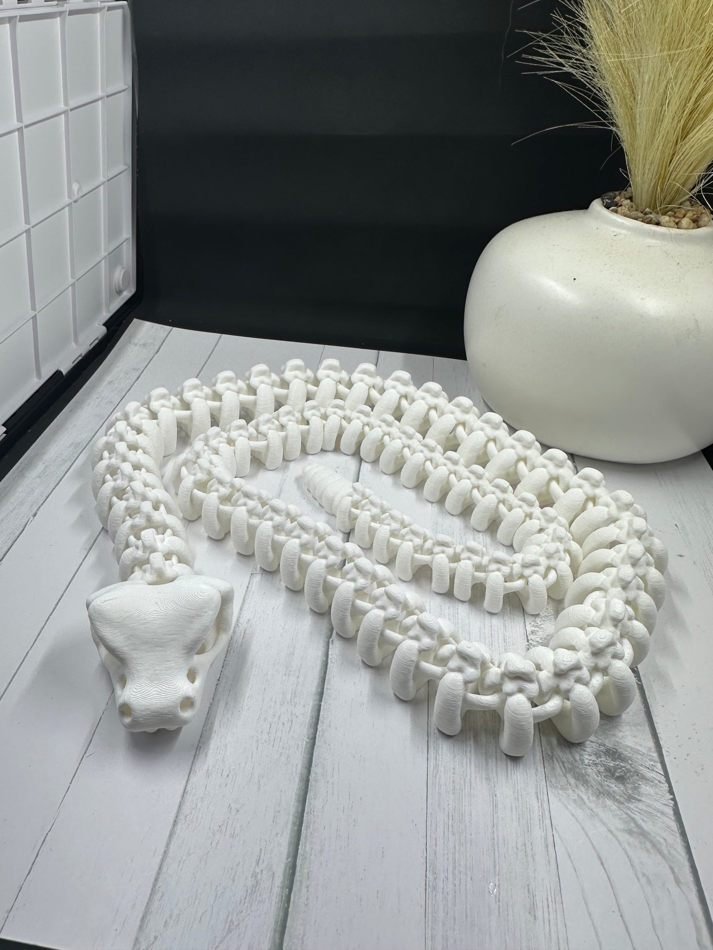 Skeleton Rattlesnake 3D Print - Random Color - MC