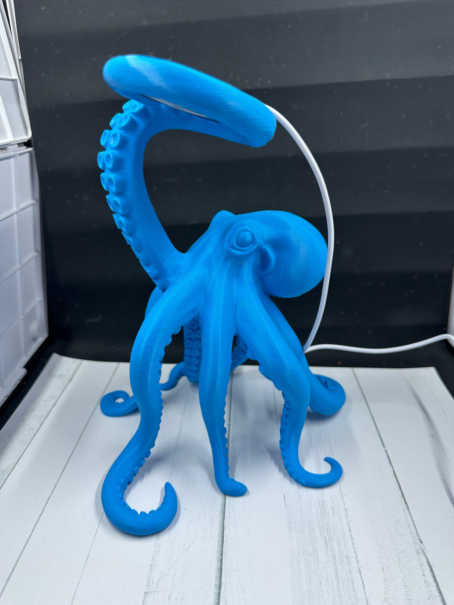 Octopus Lamp 3D Print - Random Color -Mc