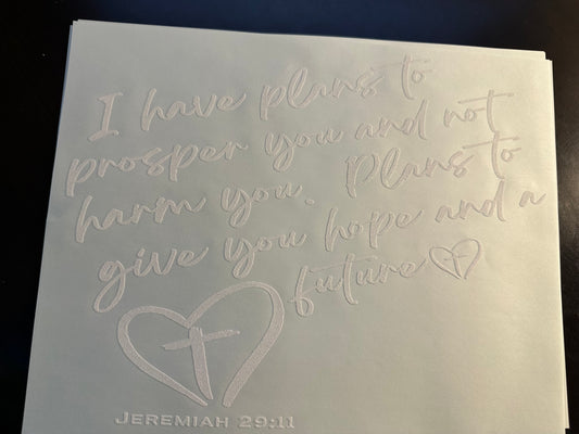 Jeremiah 29:11 Adult T-Shirt