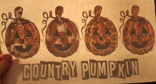 Country Pumpkins T-Shirt