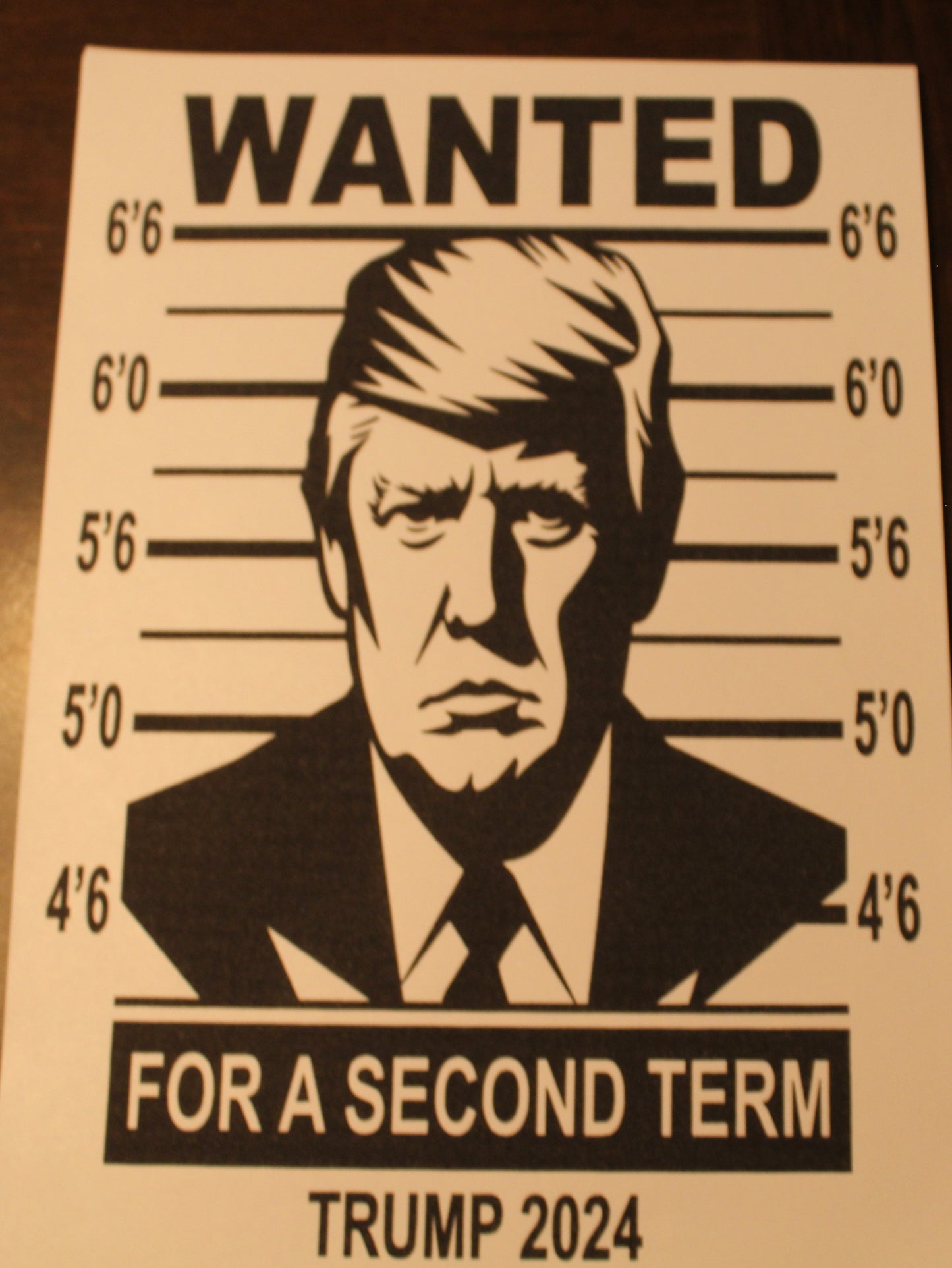 Wanted for A Second Term T-Shirt
